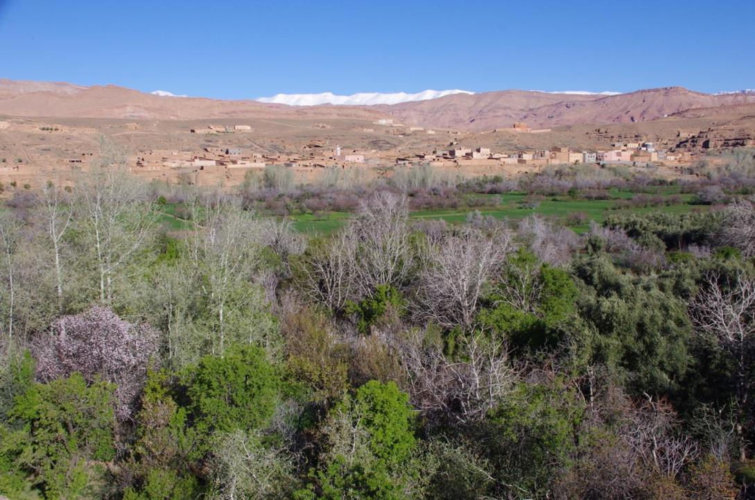 Les Jardins Du M'Goun Panzió Kelaat-M'Gouna Kültér fotó