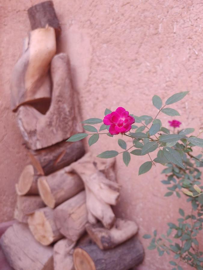 Les Jardins Du M'Goun Panzió Kelaat-M'Gouna Kültér fotó