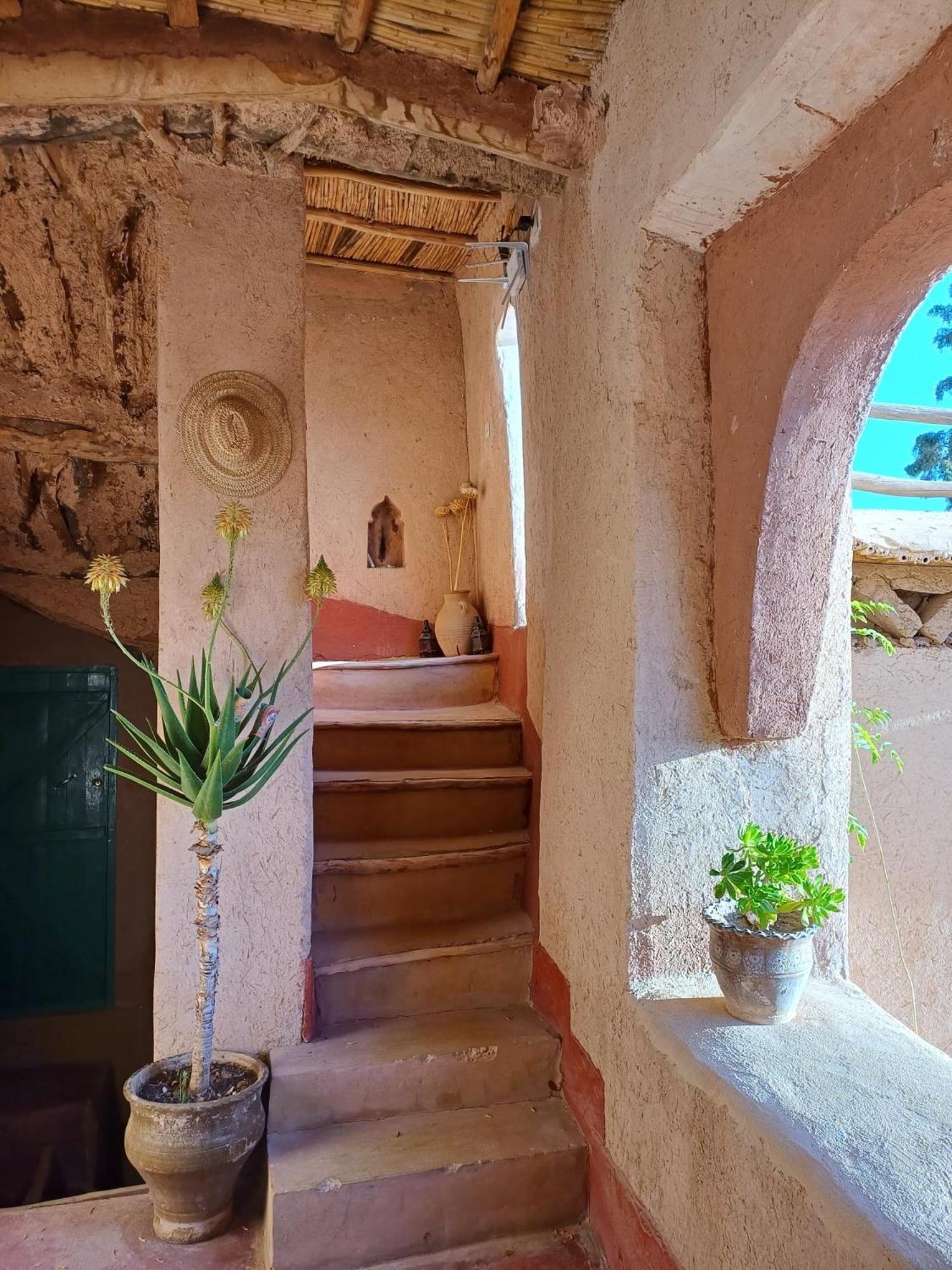 Les Jardins Du M'Goun Panzió Kelaat-M'Gouna Kültér fotó